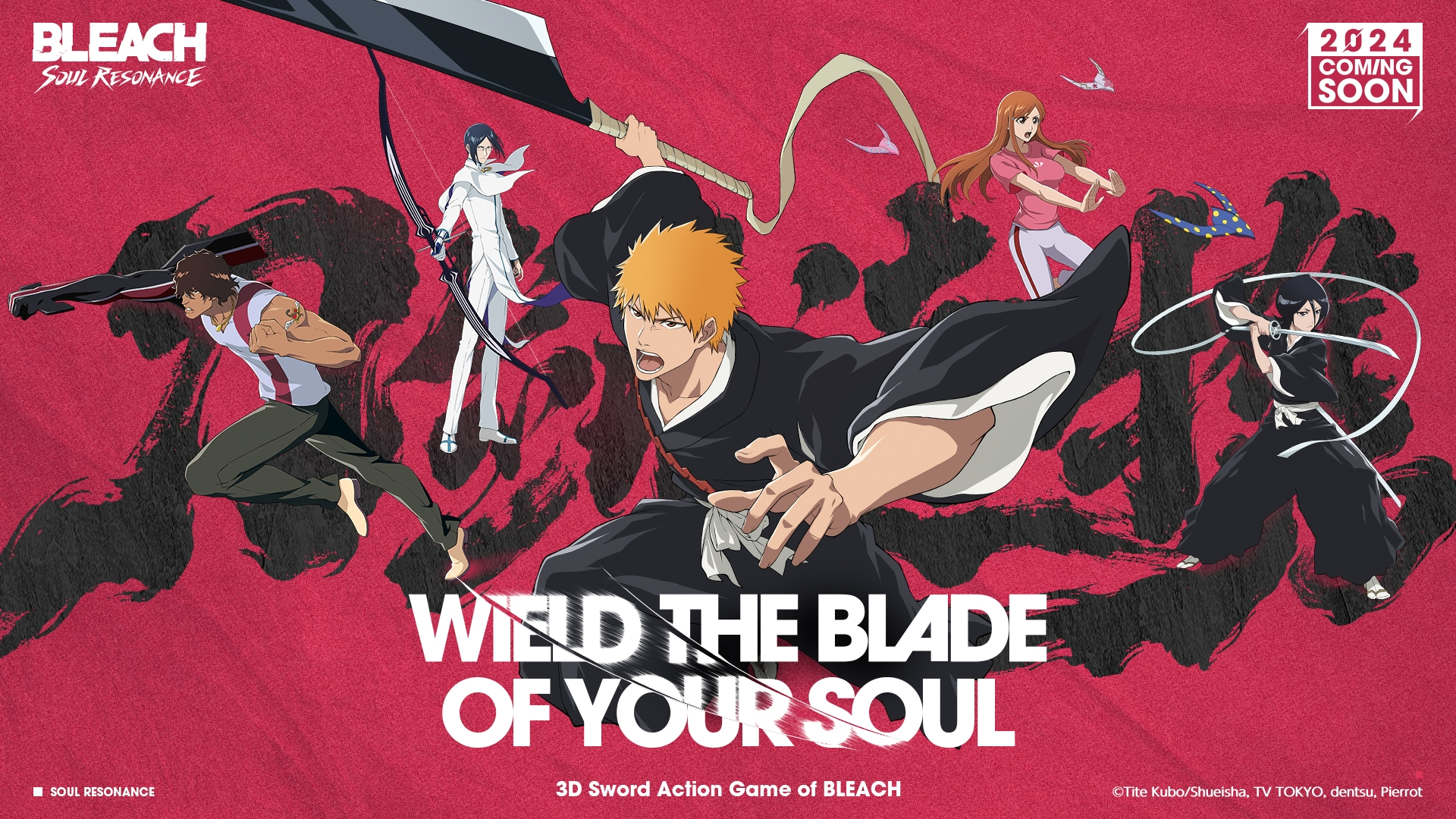 Bleach Soul Resonance Artwork 2
